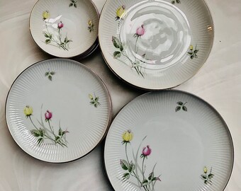 T Thomas Porcelain China From Germany Circa 1959, Pattern