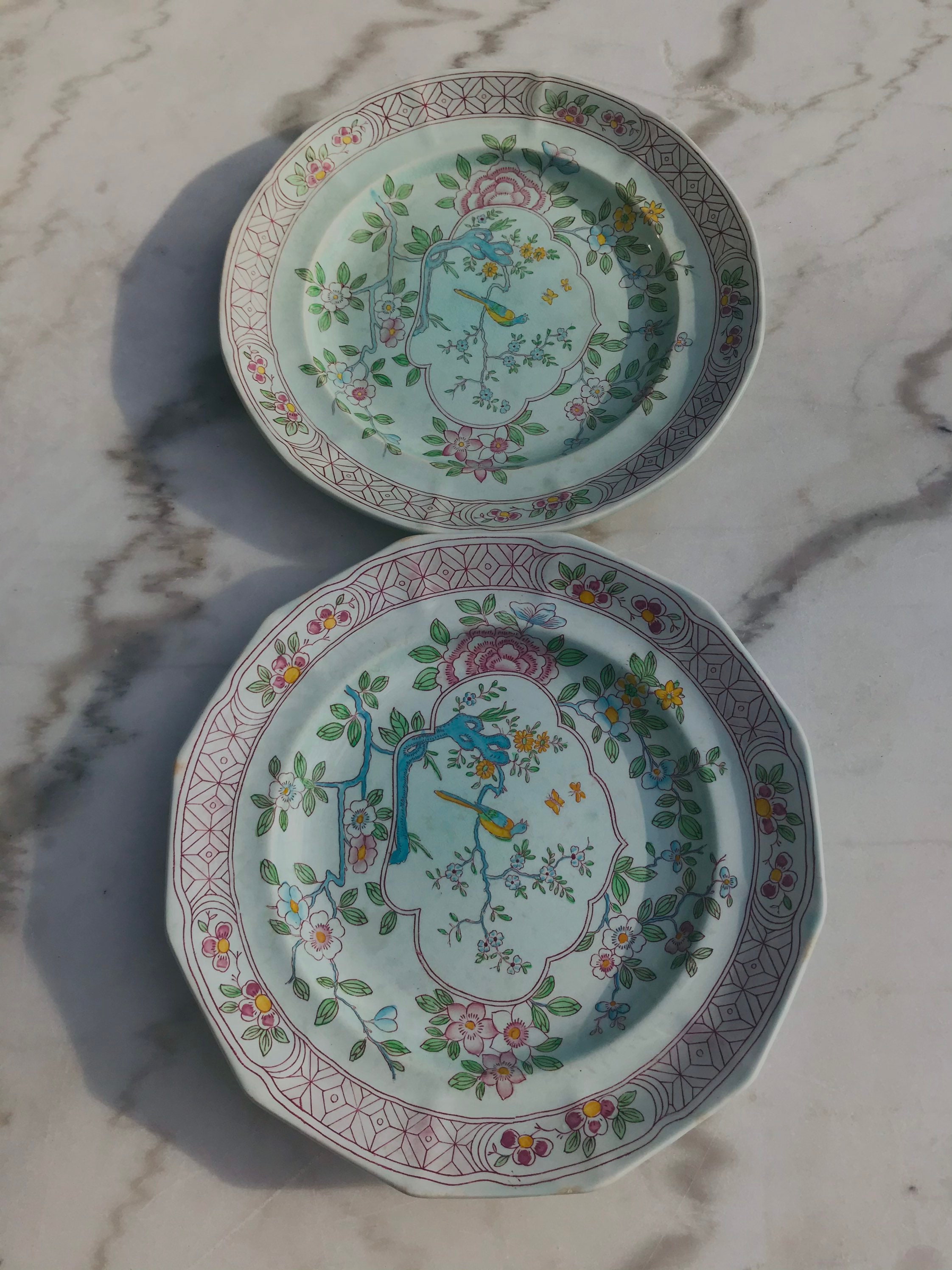 Adams Calyx Ware China , Shop Adams China Patterns – MBOI