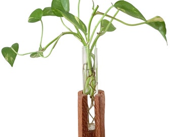 Vase en tube à essai en bois- mcm- moderne- propagation- bois dur récupéré- fait à la main- milieu du siècle