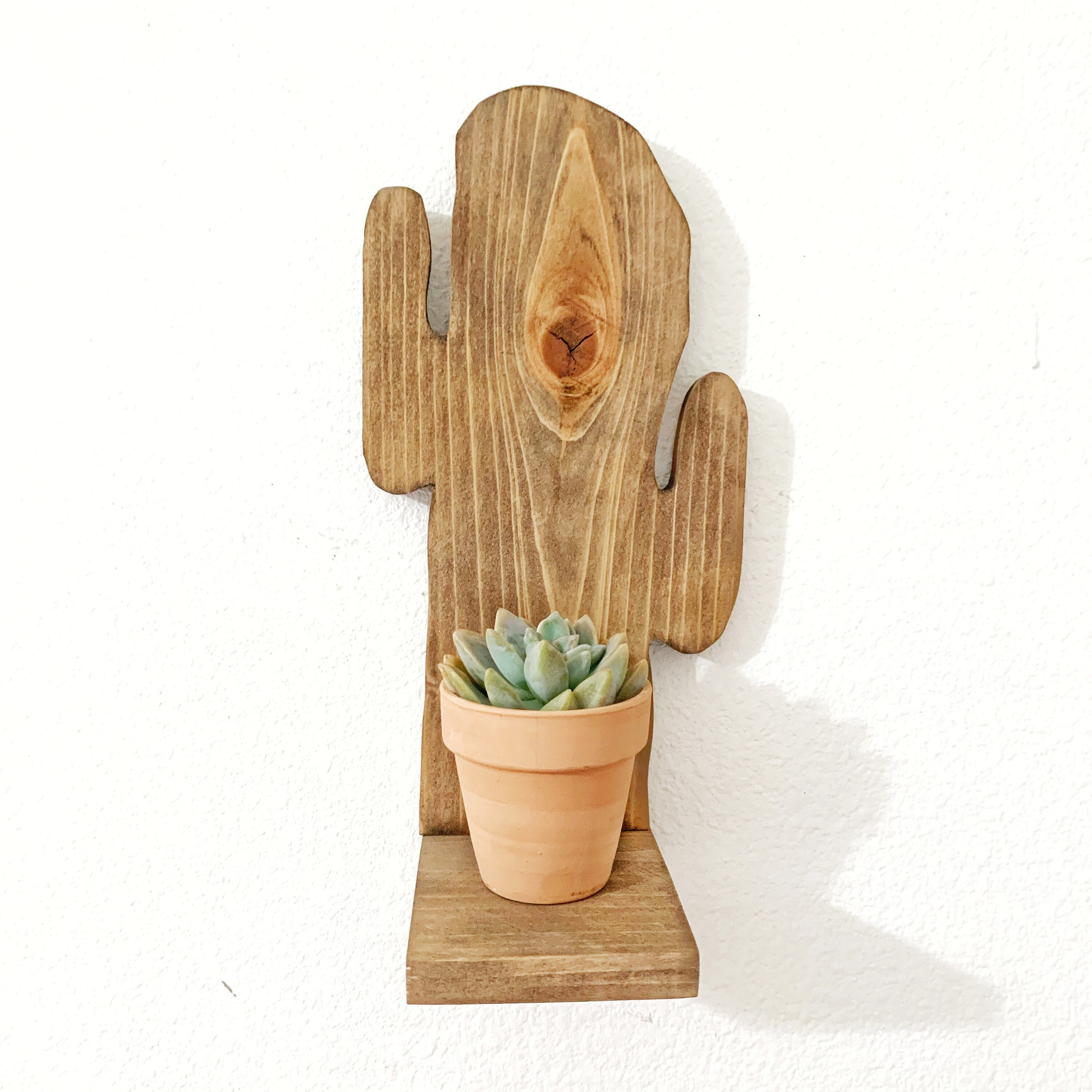 Wooden cactus shelf cactus shelf plant shelf desert decor | Etsy