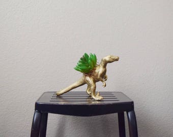 Raptor Dinosaur Toy Planter with Faux Succulent