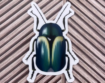 Colorful Beetle Sticker: Waterproof Vinyl Decal