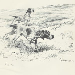 Op de afbeelding: Een potloodschets van twee jachthonden in een veld. De honden zijn in beweging, met één op de voorgrond en een andere op de achtergrond. Het kunstwerk is gesigneerd door G. Vernon Stokes en bevat het woord "Poulter".