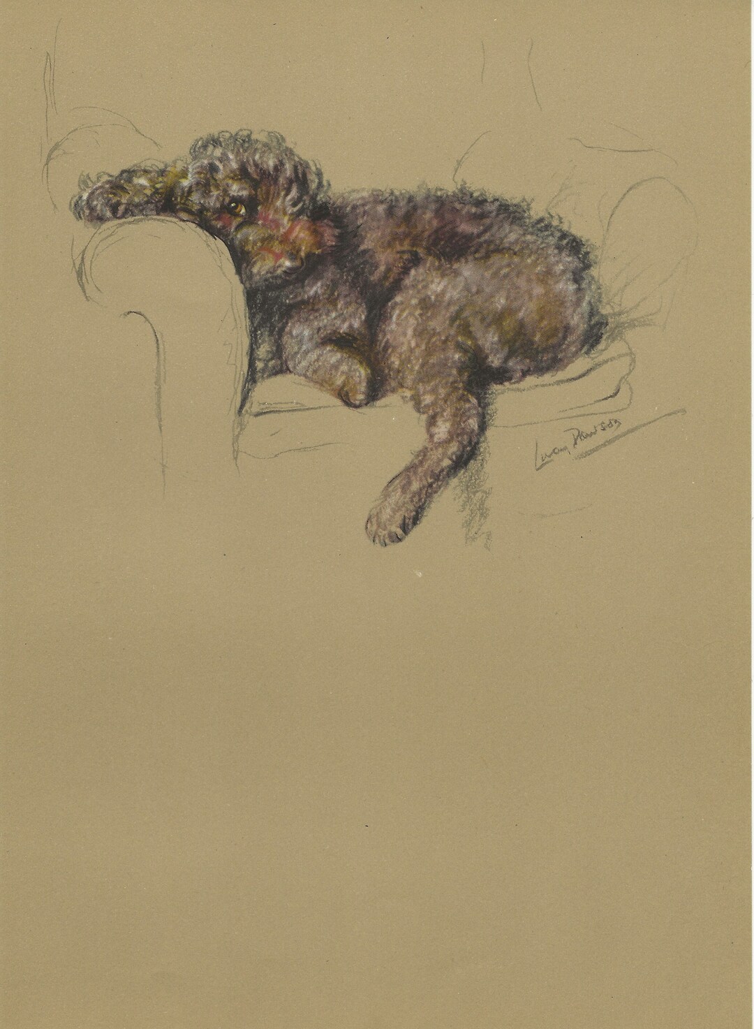 Lucy Dawson Vintage Dog Print 1946 - Etsy