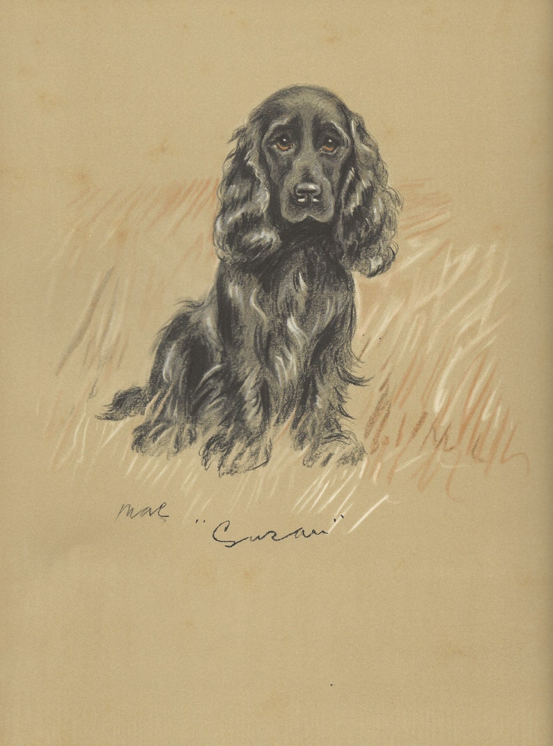 Lucy Dawson 1937 Vintage Dog Print - Etsy