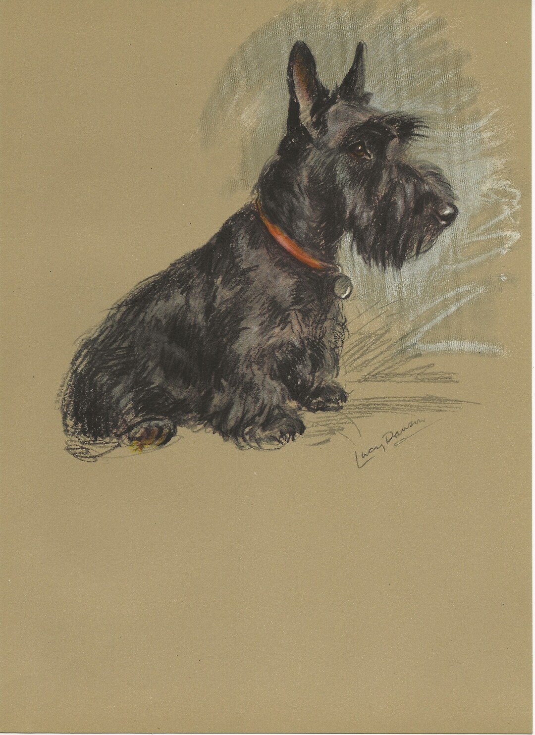Lucy Dawson Vintage Dog Print 1946 - Etsy
