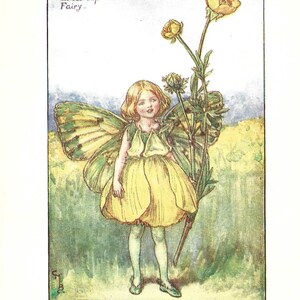 Flower Fairy of the Summer - The Buttercup Fairy