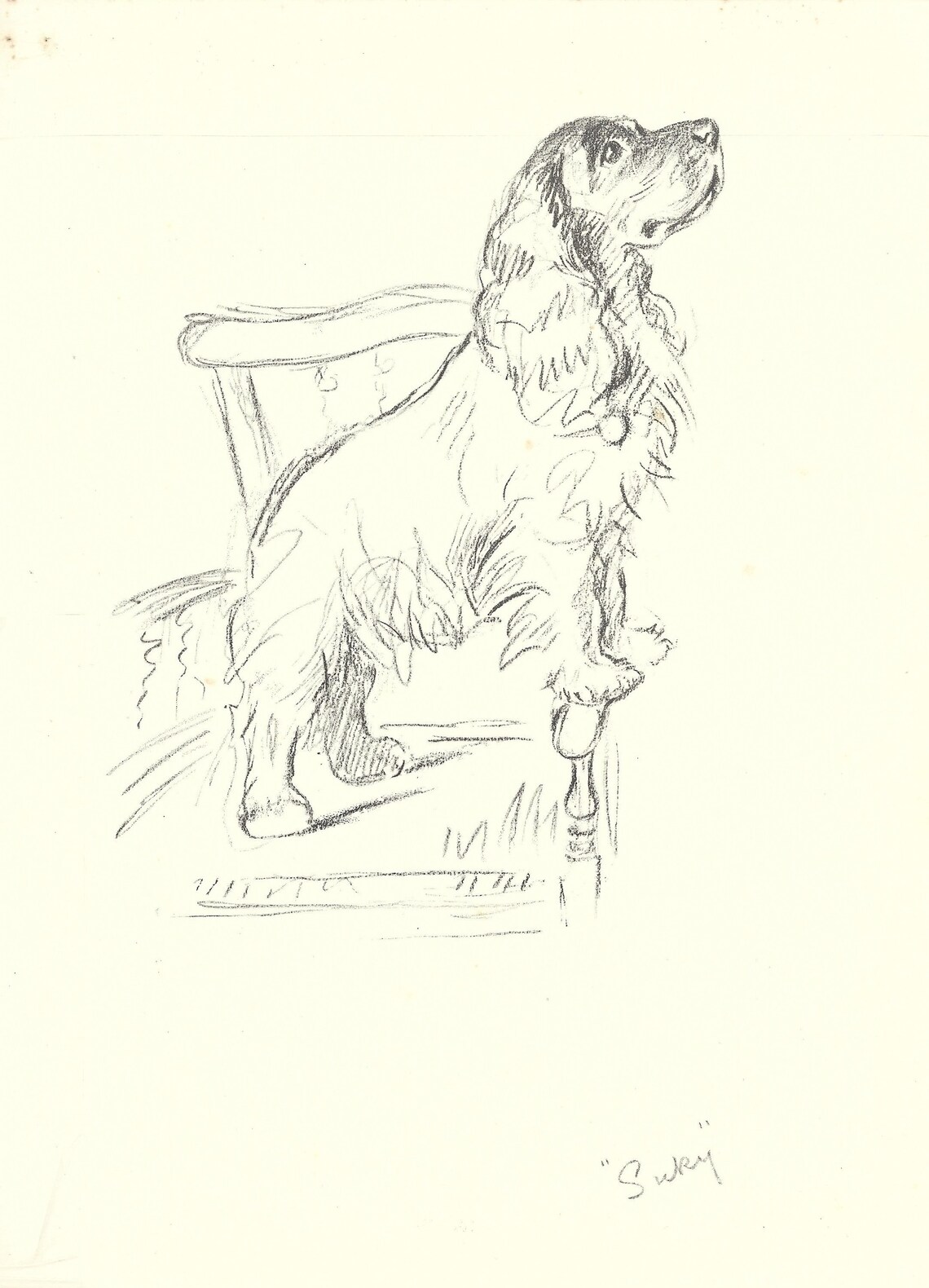 Lucy Dawson Vintage Dog Print 1937 - Etsy