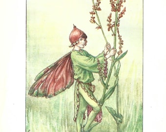 Flower Fairy of the Summer - The Sorrel Fairy