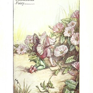 Flower Fairy of the Summer - The Convolvulus Fairy