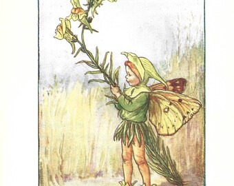 Flower Fairy of the Summer - The Toadflax Fairy