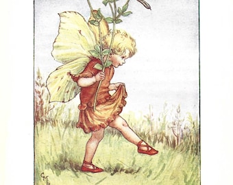 Flower Fairy of the Summer - The Bird's Foot Trefoil Fairy