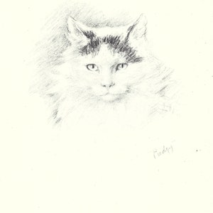 Lucy Dawson Vintage Print Cat 1946