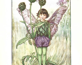 Flower Fairy of the Summer - The Greater Knapweed Fairy