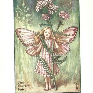Flower Fairy of the Summer - The Yarrow Fairy