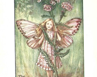 Flower Fairy of the Summer - The Yarrow Fairy