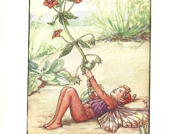 Flower Fairy of the Summer - The Scarlet Pimpernel Fairy
