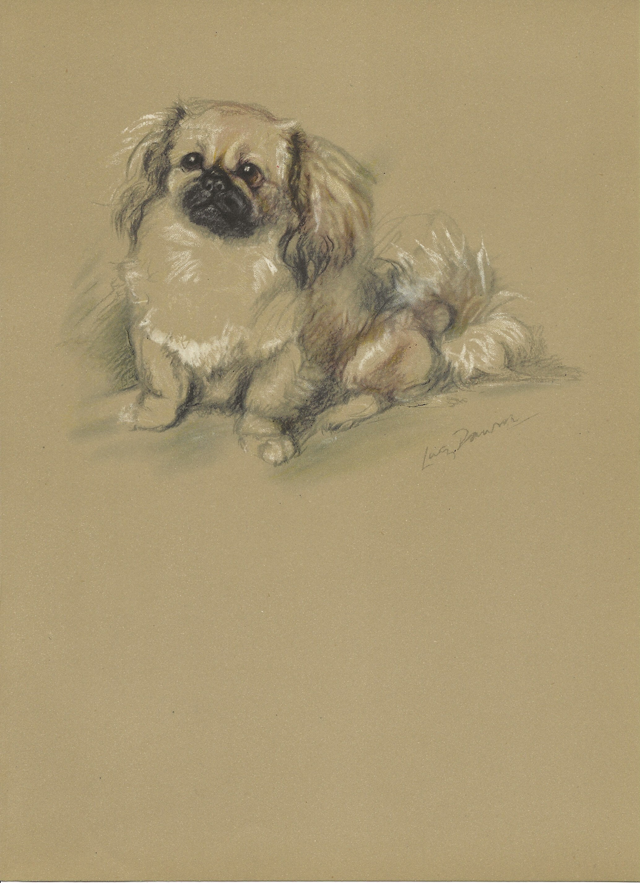 Lucy Dawson Vintage Dog Print 1946 - Etsy
