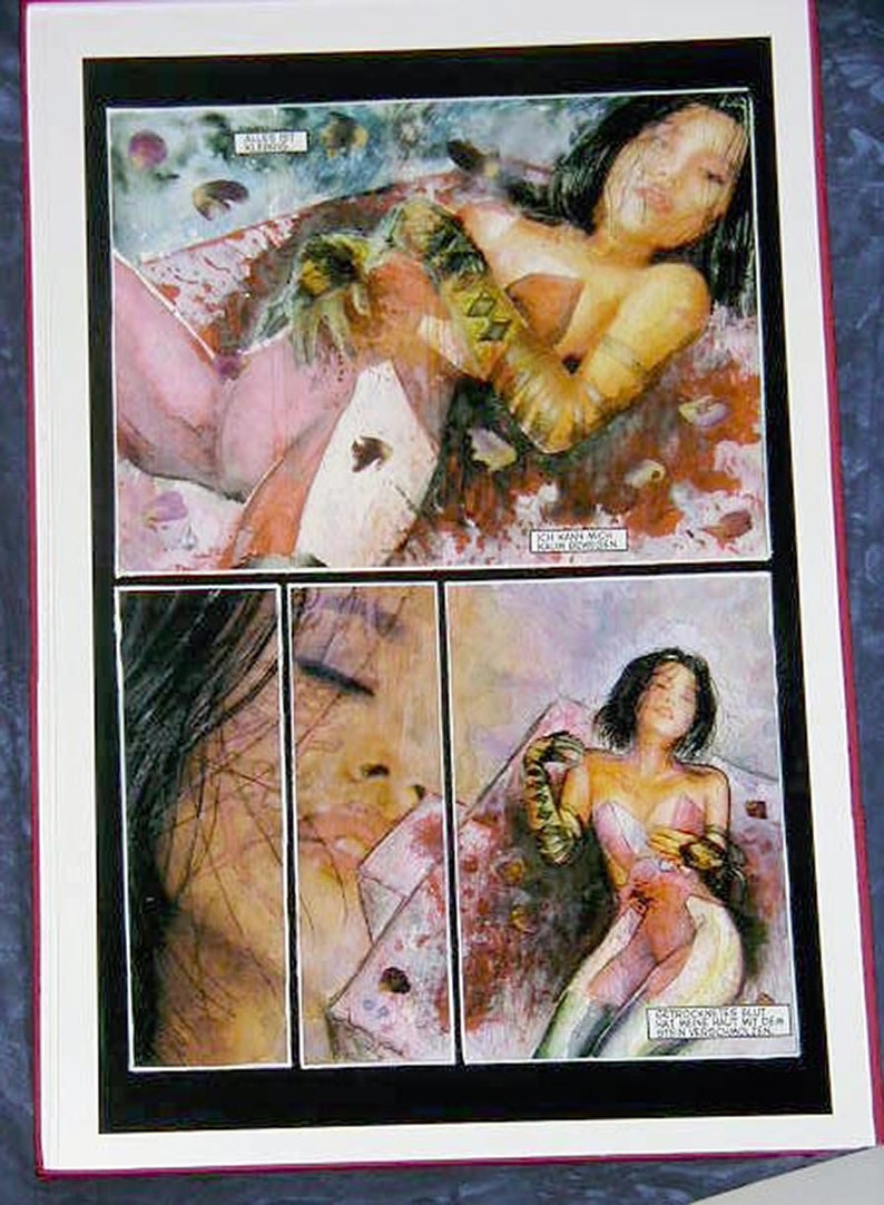 Kabuki Dreams Limited Edition German Portfolio David Mack 42 Prints 17 x 25 Deluxe Red Linen Box 0654 of 990 Graphic Novel image 6
