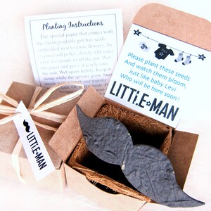 12 Faveurs De Baby Shower Plantable Little Man - Fleurs Graines De Cheveux Plantables Moustache Bébé Douche Favoris avec Pots Plantables