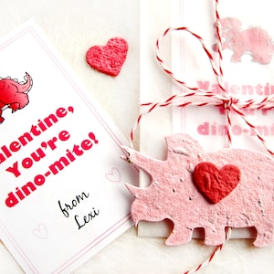 12 Flower Seed Dinosaur Valentines - Birthday Party Favors - You are dynomite!