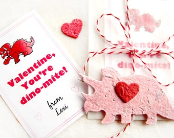 12 Flower Seed Dinosaur Valentines - Birthday Party Favors - You are dynomite!