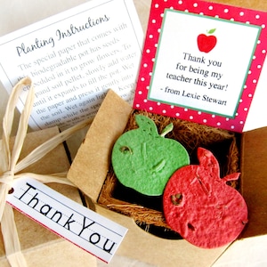 Boîte de pommes en papier graine pour professeur d'école - Cadeau pour professeur - Kit de plantation de graines de fleurs - Option espagnole