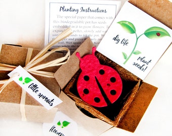 2+ Seed Paper Ladybugs Flower Seed Box Gardening Kit with Plantable Pots