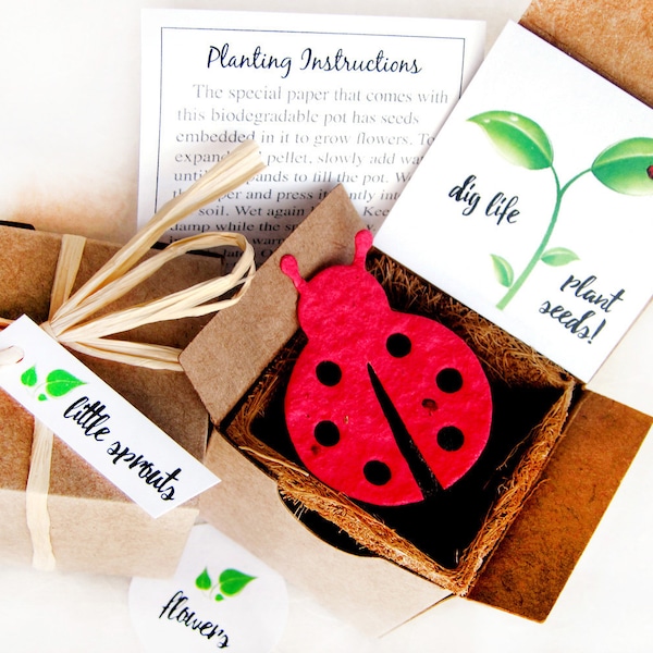 2+ Seed Paper Ladybugs Flower Seed Box Gardening Kit with Plantable Pots