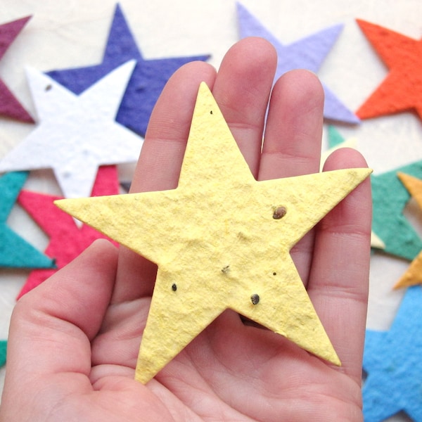 10+ Large Seed Paper Stars - Flower Seed Paper Star Party Favors - Baby Shower Favors - DIYPlantable Place Cards