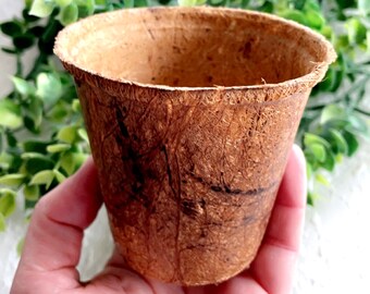 Biodegradable Plantable Pots - Made from Coconut Fiber