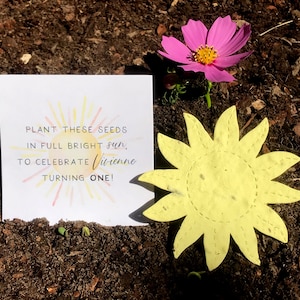 20+ Plantable First Trip Around Sun Birthday Party Card Favors - Flower Seed Paper Suns