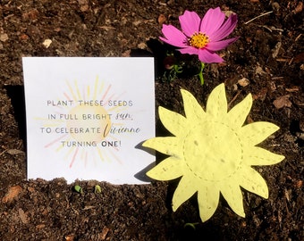 20+ Plantable First Trip Around Sun Birthday Party Card Favors - Flower Seed Paper Suns