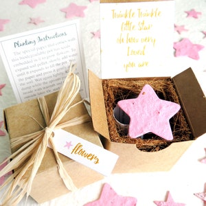 24 Flower Seed Baby Shower Favor Box: Star Seed Paper Planting Kit