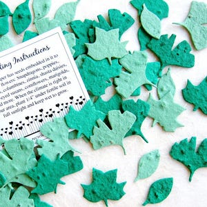 100+ Sustainable Favors Wedding Flower Seed Paper Confetti Leaves - Ginkgo Tulip Birch