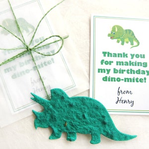 12 cadeaux d'anniversaire de dinosaure à graines de fleurs - Vous êtes dynomite !