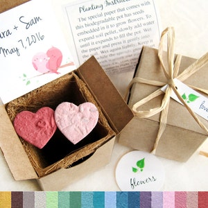 12 Boîtes de mariage de plantation de graines de faveur avec des pots de fleurs plantables et des coeurs de confettis de papier de graine - étiquettes de faveur personnalisées - oiseaux de papier de graine