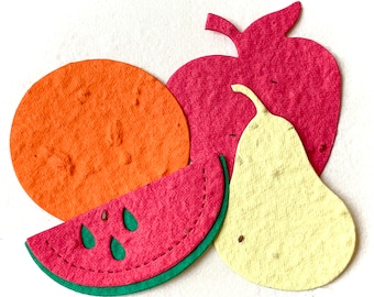 20 Seed Paper Fruits - Oranges, Apples, Pears, Watermelons