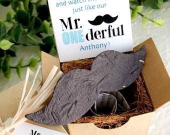 12 Plantable Mr ONEderful Birthday Party Favors - Flower Seed Plantable Paper Mustaches with Plantable Pots