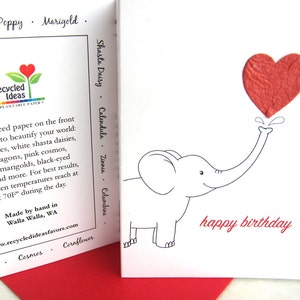 Carte d'anniversaire éléphant à planter - carte d'anniversaire en papier graine de fleurs - carte de joyeux anniversaire - carte d'anniversaire éléphant en papier à planter