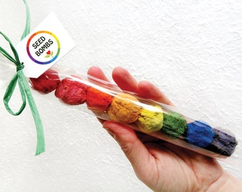 Rainbow Flower Seed Bombs Gift Pack - Stocking Stuffer