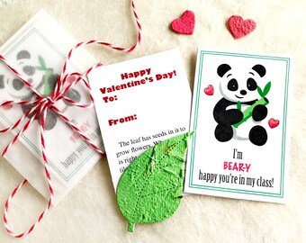 12 Flower Seed Panda Valentines - School Valentines