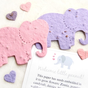 Plus de 20 cadeaux de baby shower à planter Éléphants en papier graine