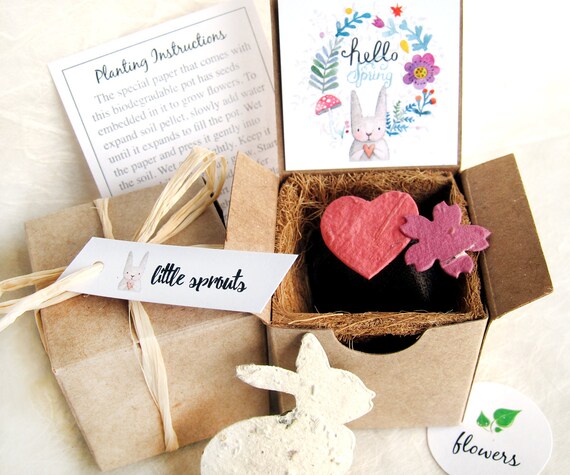 4 hello spring seed paper bunny boxes with plantable pots etsy paper flower pots instructions