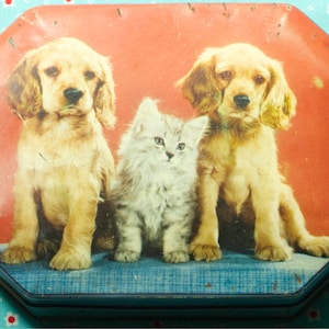 1950's Harry Vincent Blue Bird Toffee Tin England, Puppies And Kitten Tin