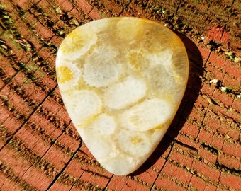 Indonesisch fossiel koraalsteen plectrum - standaard, 2,3 mm - P1233