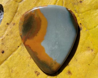 Rocky Butte foto jaspis plectrum, standaard, 2,9 mm - P1828