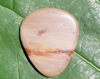 Gitaarplectrum van versteend hout, standaard, 3,1 mm - P1838