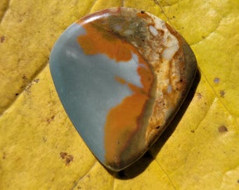 Rocky Butte foto jaspis plectrum, Jazz XL, 2,8 mm - P1794