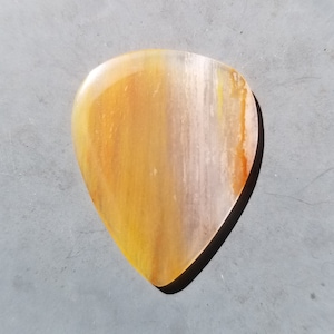 Arizona rainbow petrified wood stone guitar pick - standard, 2.2 mm - P1348